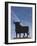 Famous Bull Symbols of the Bodegas Osborne, Puerto De Santa Maria, Spain-Walter Bibikow-Framed Photographic Print