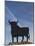 Famous Bull Symbols of the Bodegas Osborne, Puerto De Santa Maria, Spain-Walter Bibikow-Mounted Photographic Print