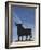 Famous Bull Symbols of the Bodegas Osborne, Puerto De Santa Maria, Spain-Walter Bibikow-Framed Photographic Print