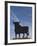 Famous Bull Symbols of the Bodegas Osborne, Puerto De Santa Maria, Spain-Walter Bibikow-Framed Photographic Print