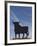 Famous Bull Symbols of the Bodegas Osborne, Puerto De Santa Maria, Spain-Walter Bibikow-Framed Photographic Print