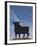 Famous Bull Symbols of the Bodegas Osborne, Puerto De Santa Maria, Spain-Walter Bibikow-Framed Photographic Print