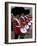 Famous, Changing of Guards, London-Bill Bachmann-Framed Photographic Print