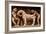 Famous Erotic Stone Carving Bas Relieves, Lakshmana Temple, Khajuraho, India. Unesco World Heritage-f9photos-Framed Photographic Print