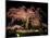 Famous Giant Weeping Cherry Tree in Blossom and Illuminated at Night, Maruyama Park, Kyoto, Honshu-Gavin Hellier-Mounted Photographic Print