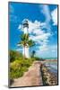 Famous Lighthouse at Cape Florida in the South End of Key Biscayne , Miami-Kamira-Mounted Photographic Print