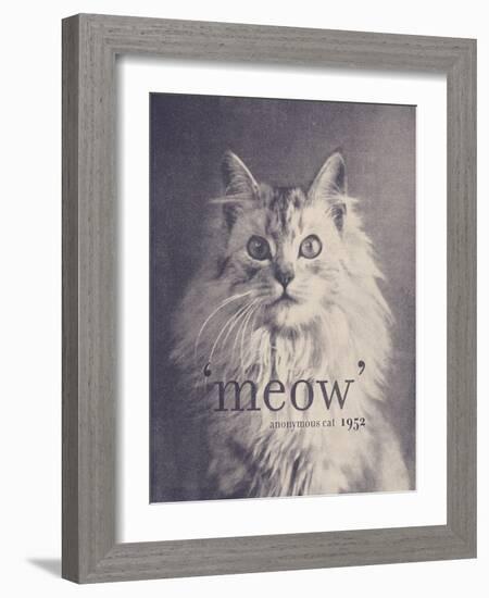 Famous Quote Cat-Florent Bodart-Framed Giclee Print