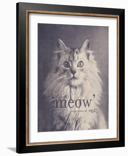 Famous Quote Cat-Florent Bodart-Framed Giclee Print