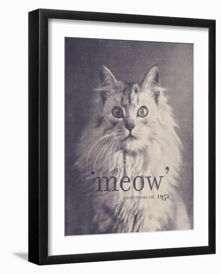 Famous Quote Cat-Florent Bodart-Framed Giclee Print