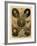 Famous Spanish Historical Figures of the 16th Century-null-Framed Giclee Print