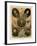 Famous Spanish Historical Figures of the 16th Century-null-Framed Giclee Print