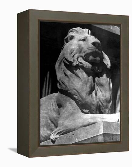 Famous Stone Lion at Front Entrance of the New York Public Library-Alfred Eisenstaedt-Framed Premier Image Canvas