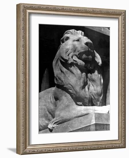 Famous Stone Lion at Front Entrance of the New York Public Library-Alfred Eisenstaedt-Framed Photographic Print