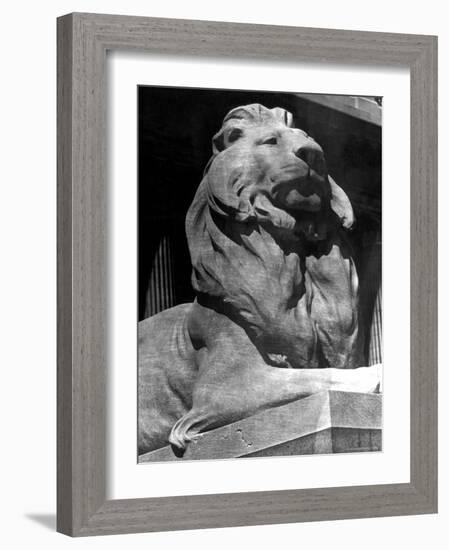 Famous Stone Lion at Front Entrance of the New York Public Library-Alfred Eisenstaedt-Framed Photographic Print