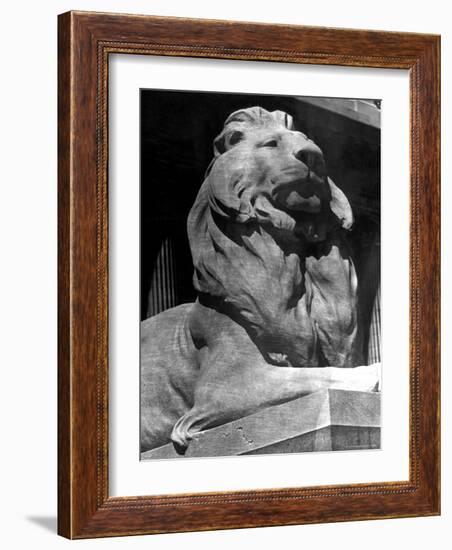 Famous Stone Lion at Front Entrance of the New York Public Library-Alfred Eisenstaedt-Framed Photographic Print