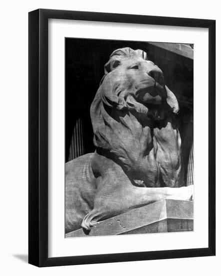 Famous Stone Lion at Front Entrance of the New York Public Library-Alfred Eisenstaedt-Framed Photographic Print