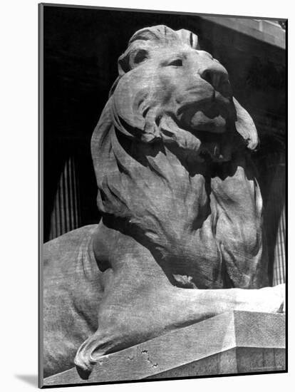 Famous Stone Lion at Front Entrance of the New York Public Library-Alfred Eisenstaedt-Mounted Photographic Print
