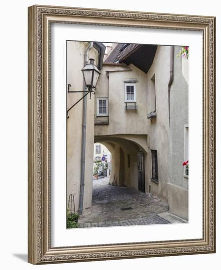 Famous Vineyard, Wachau Cultural Landscape - Medieval Old Town, Krems an Der Donau-Martin Zwick-Framed Photographic Print