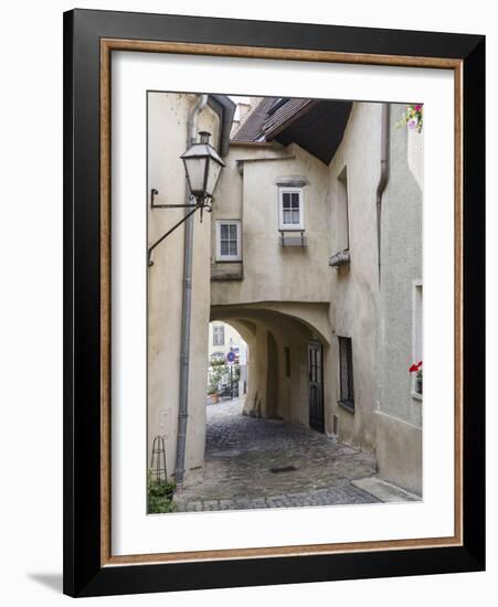 Famous Vineyard, Wachau Cultural Landscape - Medieval Old Town, Krems an Der Donau-Martin Zwick-Framed Photographic Print