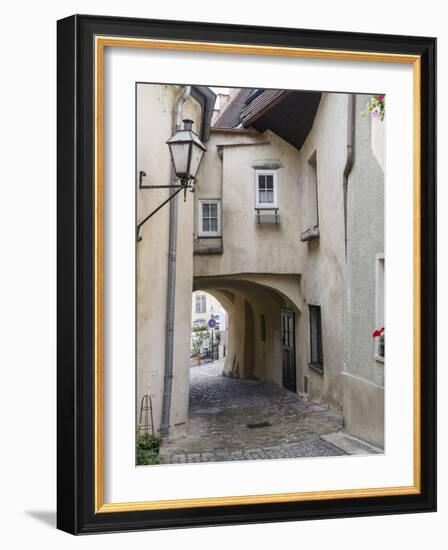 Famous Vineyard, Wachau Cultural Landscape - Medieval Old Town, Krems an Der Donau-Martin Zwick-Framed Photographic Print