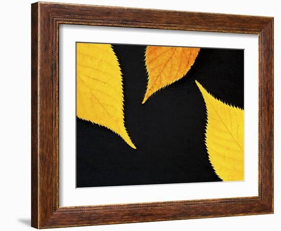 Famously Yellow-Doug Chinnery-Framed Photographic Print