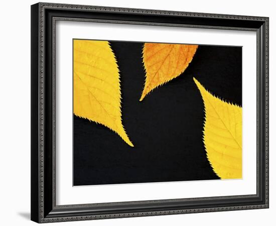 Famously Yellow-Doug Chinnery-Framed Photographic Print