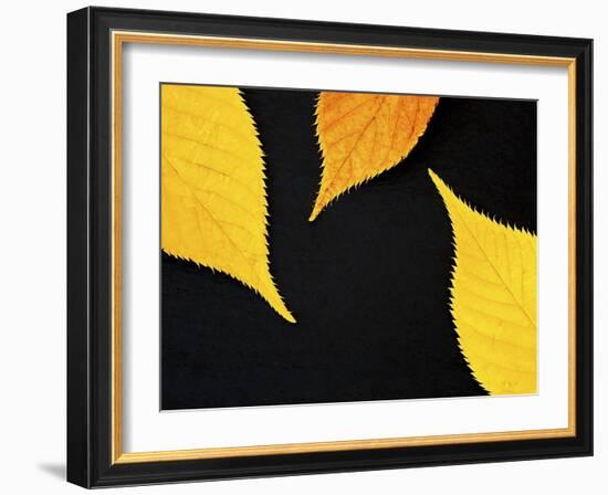 Famously Yellow-Doug Chinnery-Framed Photographic Print