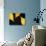 Famously Yellow-Doug Chinnery-Photographic Print displayed on a wall