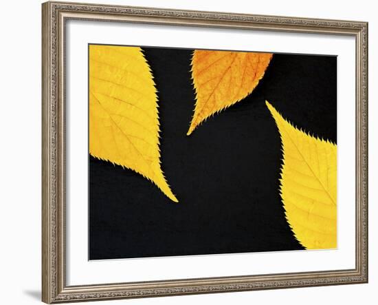 Famously Yellow-Doug Chinnery-Framed Photographic Print