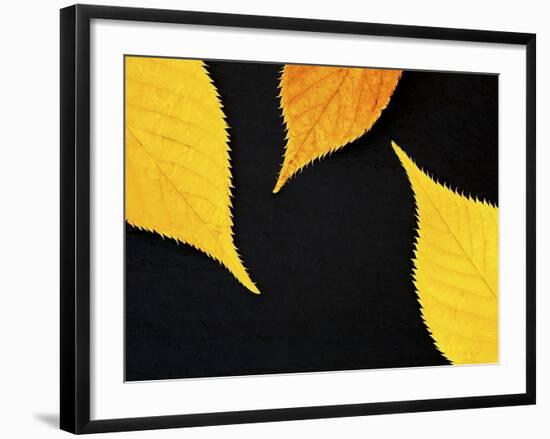 Famously Yellow-Doug Chinnery-Framed Photographic Print