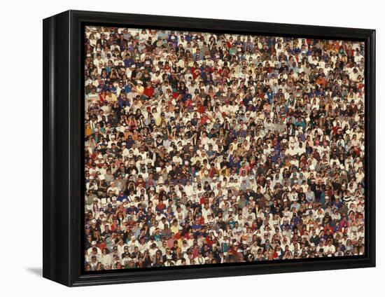 Fan at a Football Game-null-Framed Premier Image Canvas