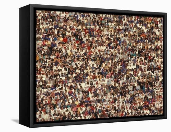 Fan at a Football Game-null-Framed Premier Image Canvas