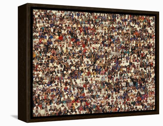 Fan at a Football Game-null-Framed Premier Image Canvas
