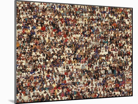 Fan at a Football Game-null-Mounted Photographic Print