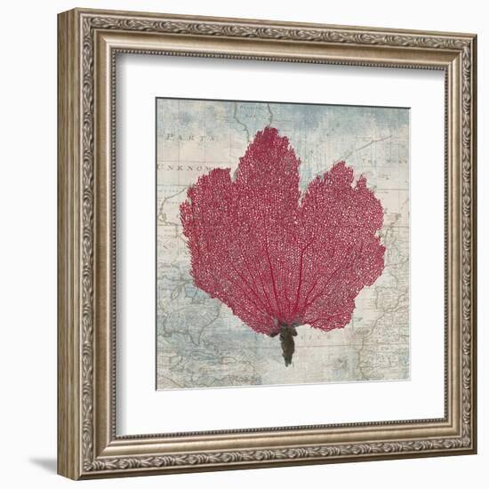 Fan Coral-Ted Broome-Framed Art Print