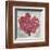 Fan Coral-Ted Broome-Framed Art Print