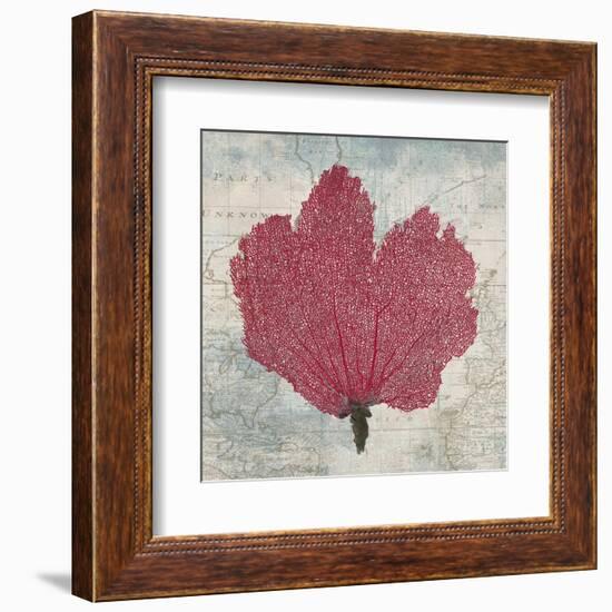 Fan Coral-Ted Broome-Framed Art Print