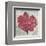 Fan Coral-Ted Broome-Framed Art Print