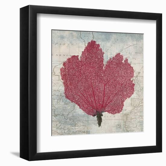 Fan Coral-Ted Broome-Framed Art Print