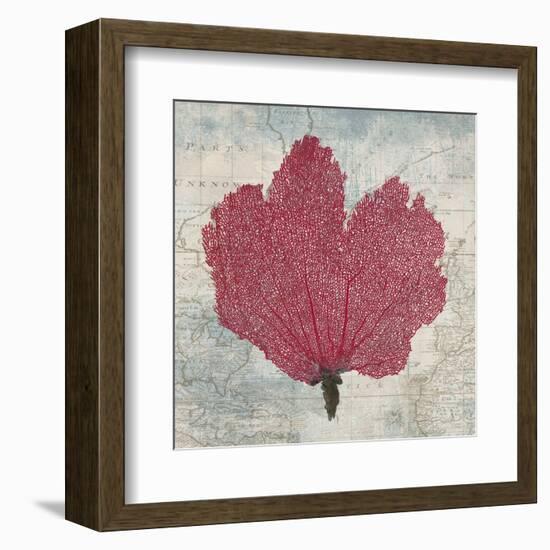 Fan Coral-Ted Broome-Framed Art Print