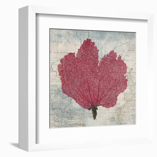 Fan Coral-Ted Broome-Framed Art Print