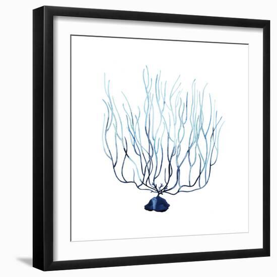 Fan de la Mer I-Grace Popp-Framed Art Print