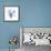 Fan de la Mer V-Grace Popp-Framed Premium Giclee Print displayed on a wall