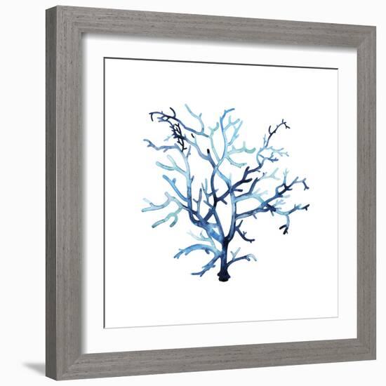 Fan de la Mer VI-Grace Popp-Framed Art Print