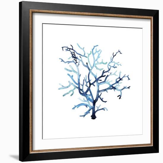 Fan de la Mer VI-Grace Popp-Framed Art Print