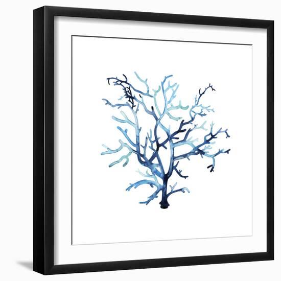 Fan de la Mer VI-Grace Popp-Framed Art Print