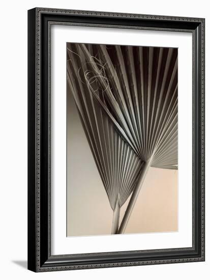 Fan Detail 8-Ian Winstanley-Framed Art Print