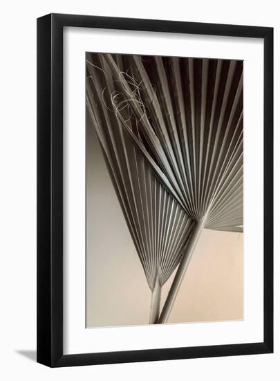 Fan Detail 8-Ian Winstanley-Framed Art Print