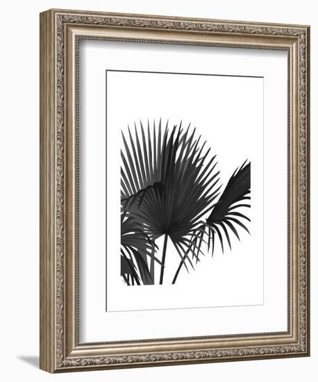 Fan Palm 1, Black On White-Fab Funky-Framed Art Print