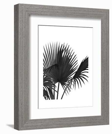 Fan Palm 1, Black On White-Fab Funky-Framed Art Print